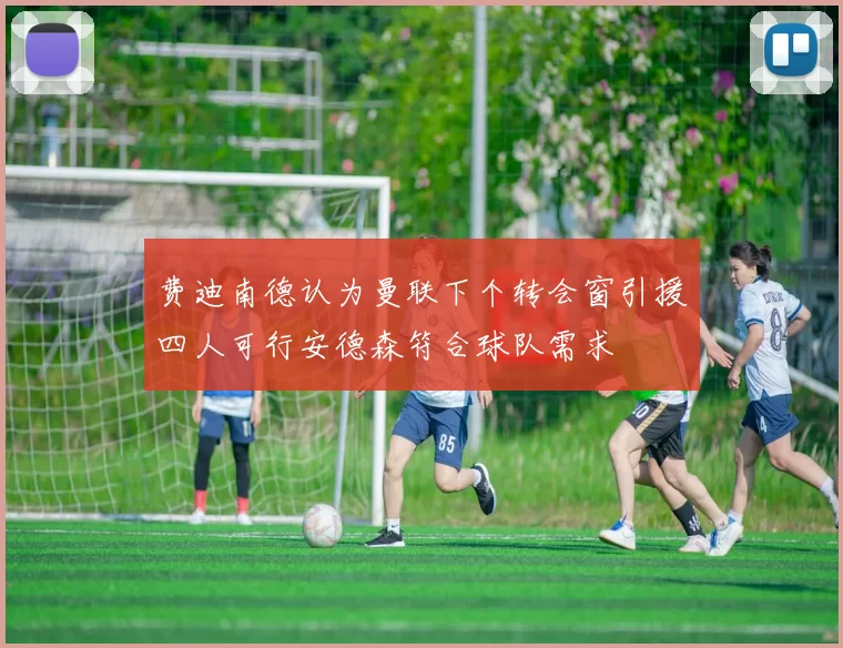 费迪南德认为曼联下个转会窗引援四人可行安德森符合球队需求