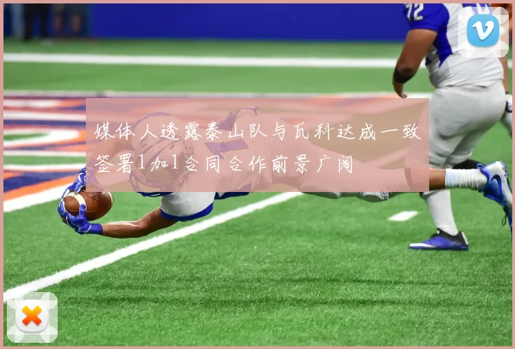 媒体人透露泰山队与瓦科达成一致签署1加1合同合作前景广阔