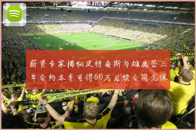 薪资专家揭秘皮特南斯与雄鹿签三年合约本季可得60万后续合同无保障