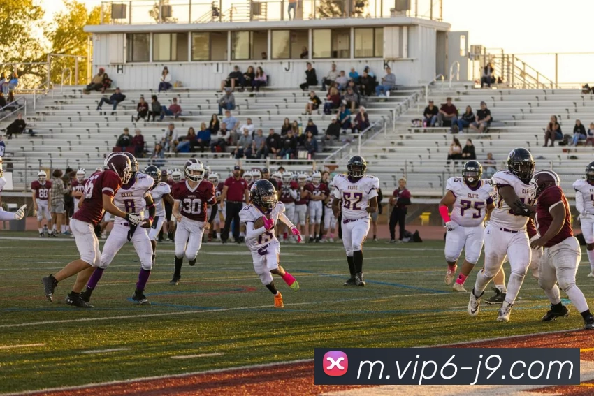 九游会平台生态图