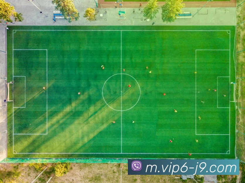 九游会APP 封面图